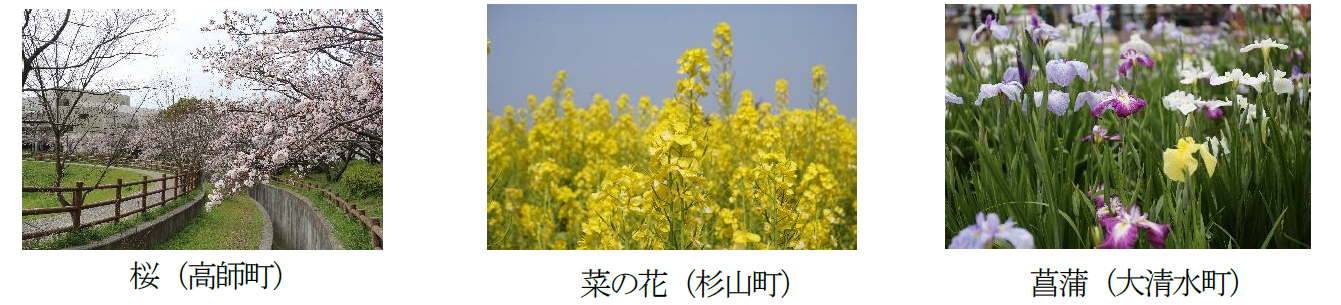花.png