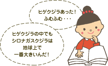 ヒゲクジラがあった！ふむふむ・・・。ヒゲクジラの中でもシロナガスクジラは地球上で一番大きんだ！