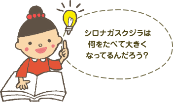 シロナガスクジラは何をたべて大きくなっているんだろう？