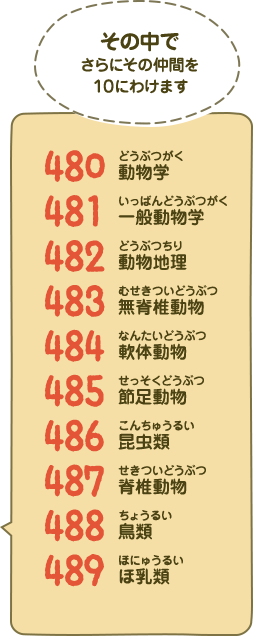 その中でさらにその仲間を10にわけます 480動物学（どうぶつがく）、481一般動物学（いっぱんどうぶつがく）、482動物地理（どうぶつちり）、483無脊椎動物（むせきついどうぶつ）、484軟体動物（なんたいどうぶつ）、485節足動物（せっそくどうぶつ）、486昆虫類（こんちゅうるい）、487脊椎動物（せきついどうぶつ）、488鳥類（ちょうるい）、489ほ乳類（ほにゅうるい）